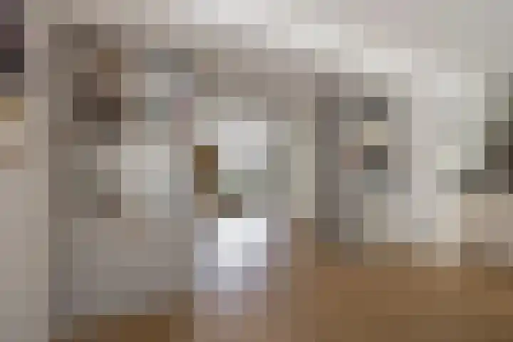 Vermeerhof 14 Nijkerk thumbnail 11