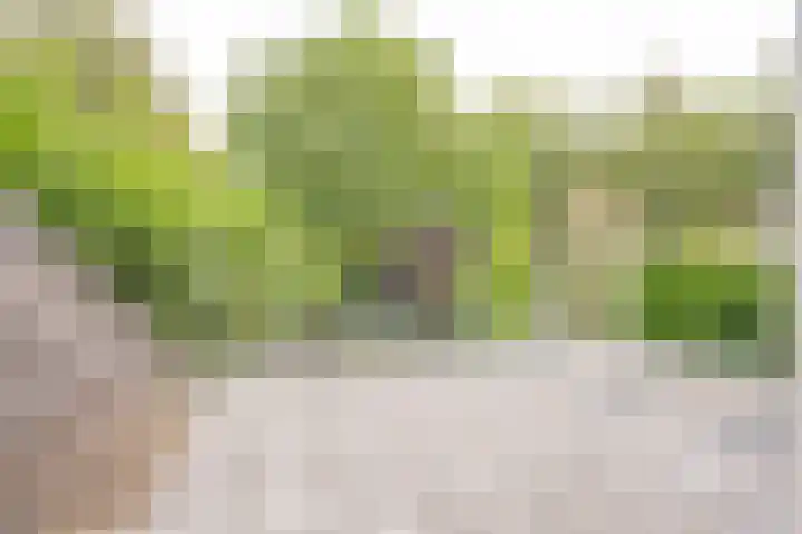 Vermeerhof 14 Nijkerk thumbnail 24