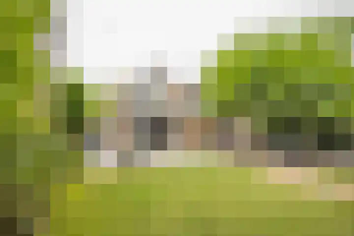 Vermeerhof 14 Nijkerk thumbnail 37