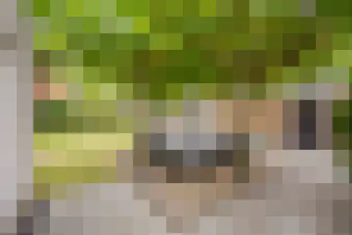 Vermeerhof 14 Nijkerk thumbnail 38