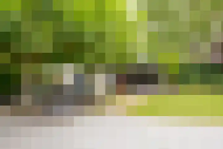 Vermeerhof 14 Nijkerk thumbnail 39