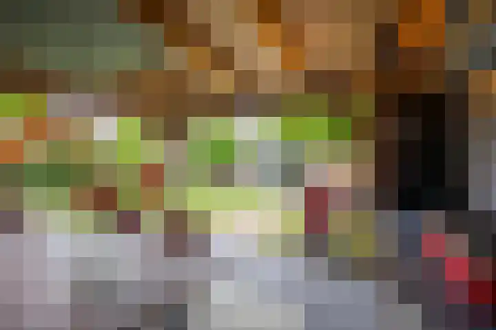 Vermeerhof 14 Nijkerk thumbnail 40