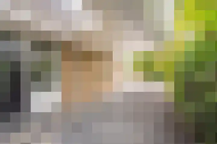 Vermeerhof 14 Nijkerk thumbnail 44