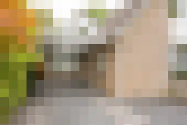 Vermeerhof 14 Nijkerk thumbnail 45