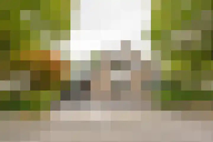 Vermeerhof 14 Nijkerk thumbnail 46