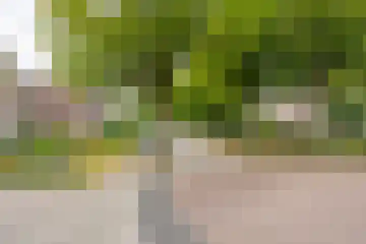 Vermeerhof 14 Nijkerk thumbnail 47