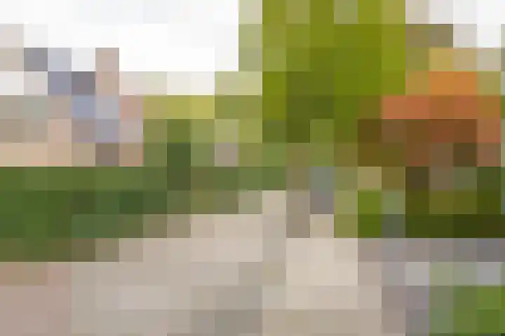 Vermeerhof 14 Nijkerk thumbnail 48