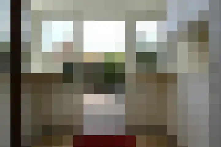 Vermeerlaan 11 Hilversum thumbnail 12