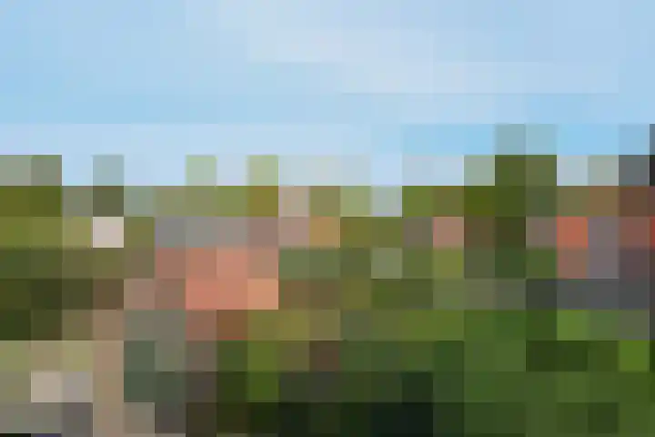 Vermeerlaan 11 Hilversum thumbnail 24