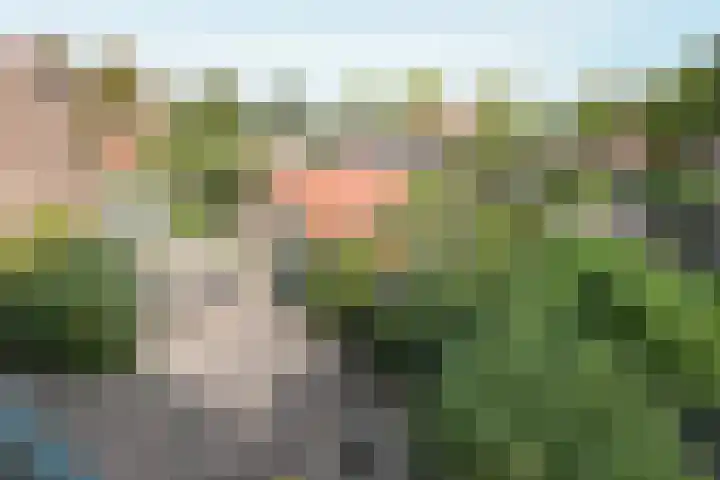 Vermeerlaan 11 Hilversum thumbnail 25