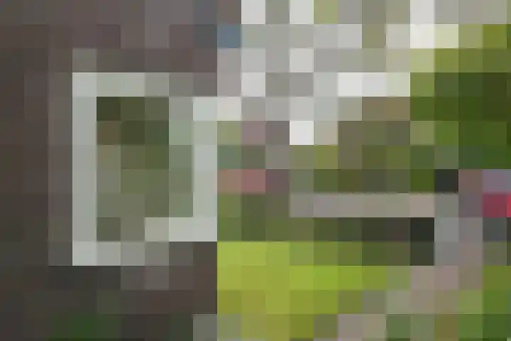 Vermeerlaan 11 Hilversum thumbnail 35