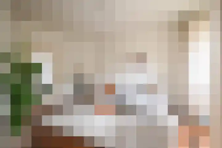 Vermeerlaan 11 Hilversum thumbnail 6