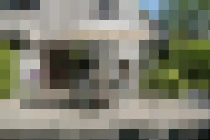 Vermeerlaan 2 A Naarden thumbnail 13