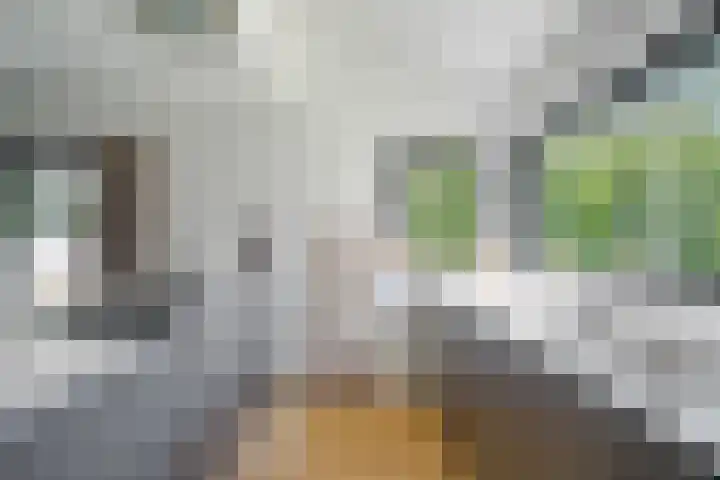 Vermeerlaan 2 A Naarden thumbnail 18