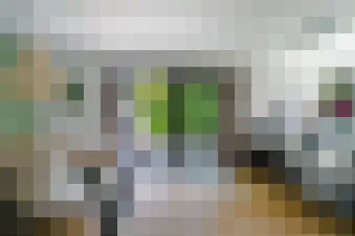 Vermeerlaan 2 A Naarden thumbnail 23