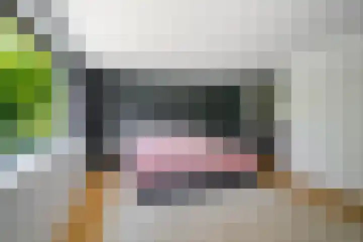 Vermeerlaan 2 A Naarden thumbnail 29