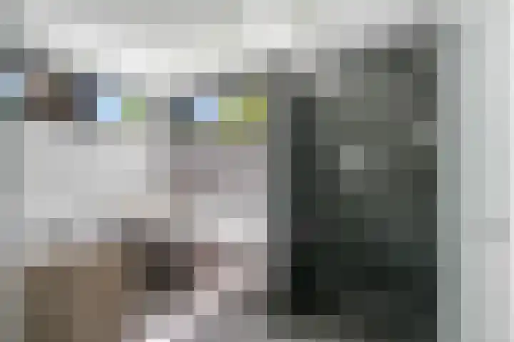 Vermeerlaan 2 A Naarden thumbnail 31
