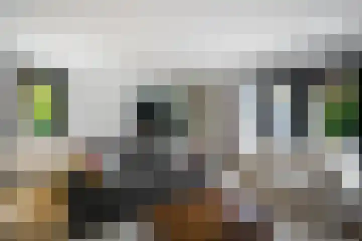 Vermeerlaan 2 A Naarden thumbnail 39