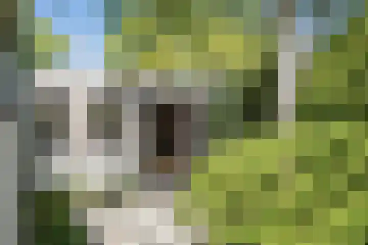 Vermeerlaan 2 A Naarden thumbnail 43