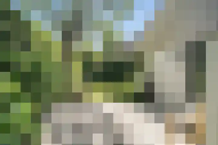 Vermeerlaan 2 A Naarden thumbnail 44