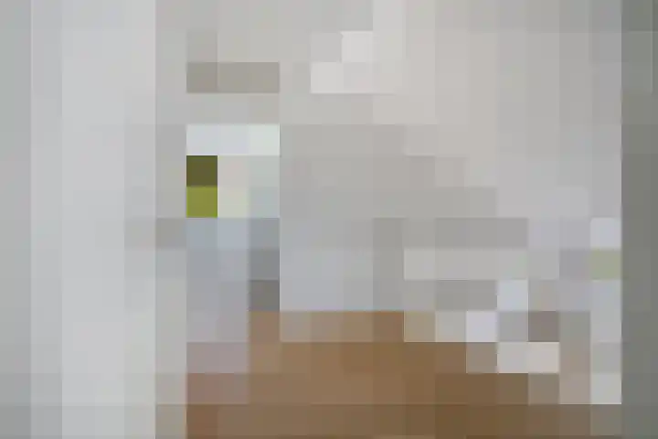 Vermeerlaan 2 A Naarden thumbnail 48