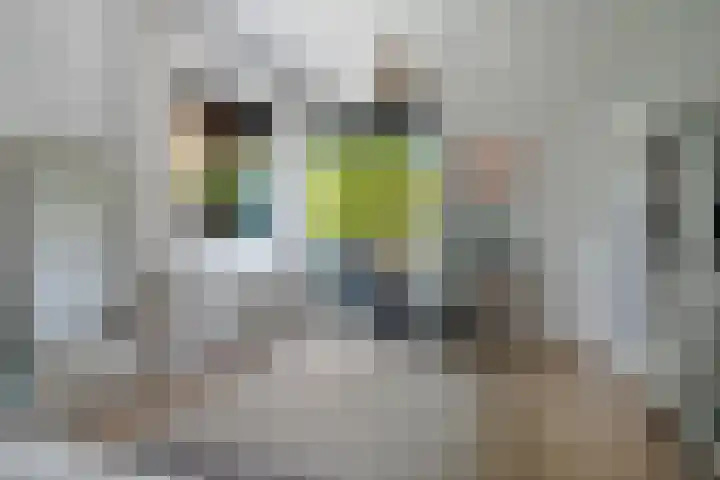 Vermeerlaan 2 A Naarden thumbnail 51
