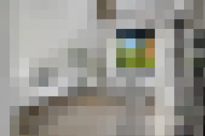 Vermeerlaan 2 A Naarden thumbnail 52