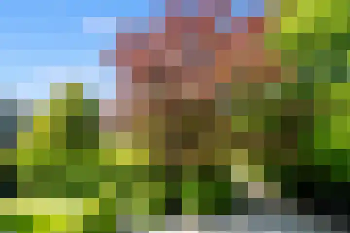 Vermeerlaan 2 A Naarden thumbnail 56