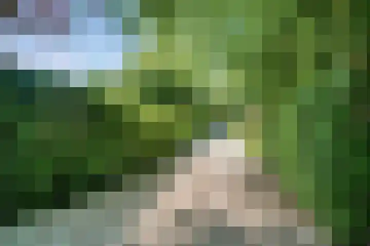 Vermeerlaan 2 A Naarden thumbnail 6