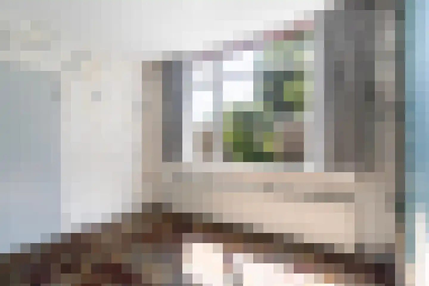 Vermeerlaan 21 Scherpenzeel thumbnail 14