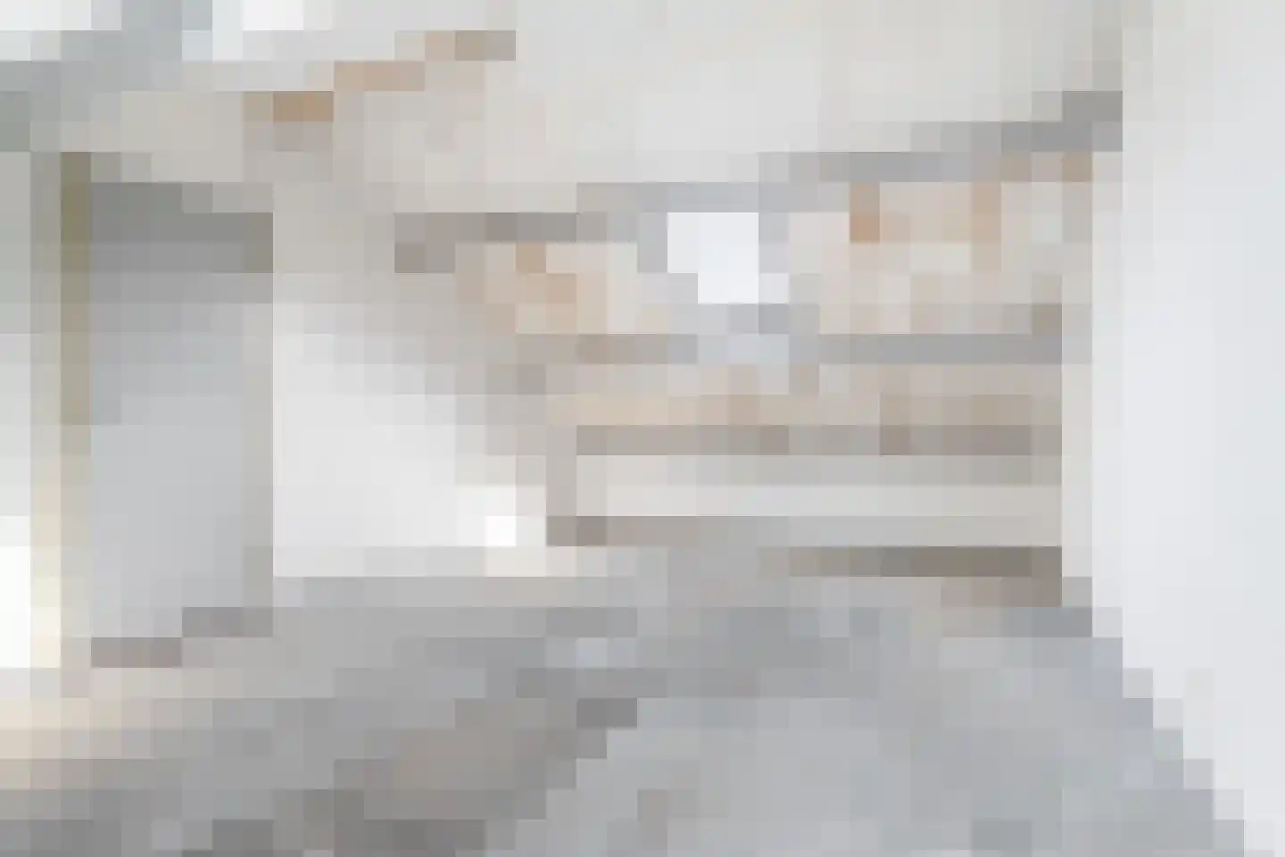 Vermeerlaan 21 Scherpenzeel thumbnail 35