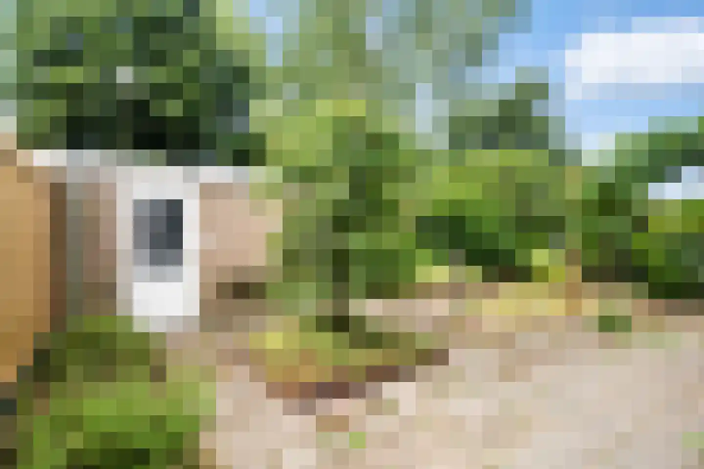 Vermeerlaan 21 Scherpenzeel thumbnail 37