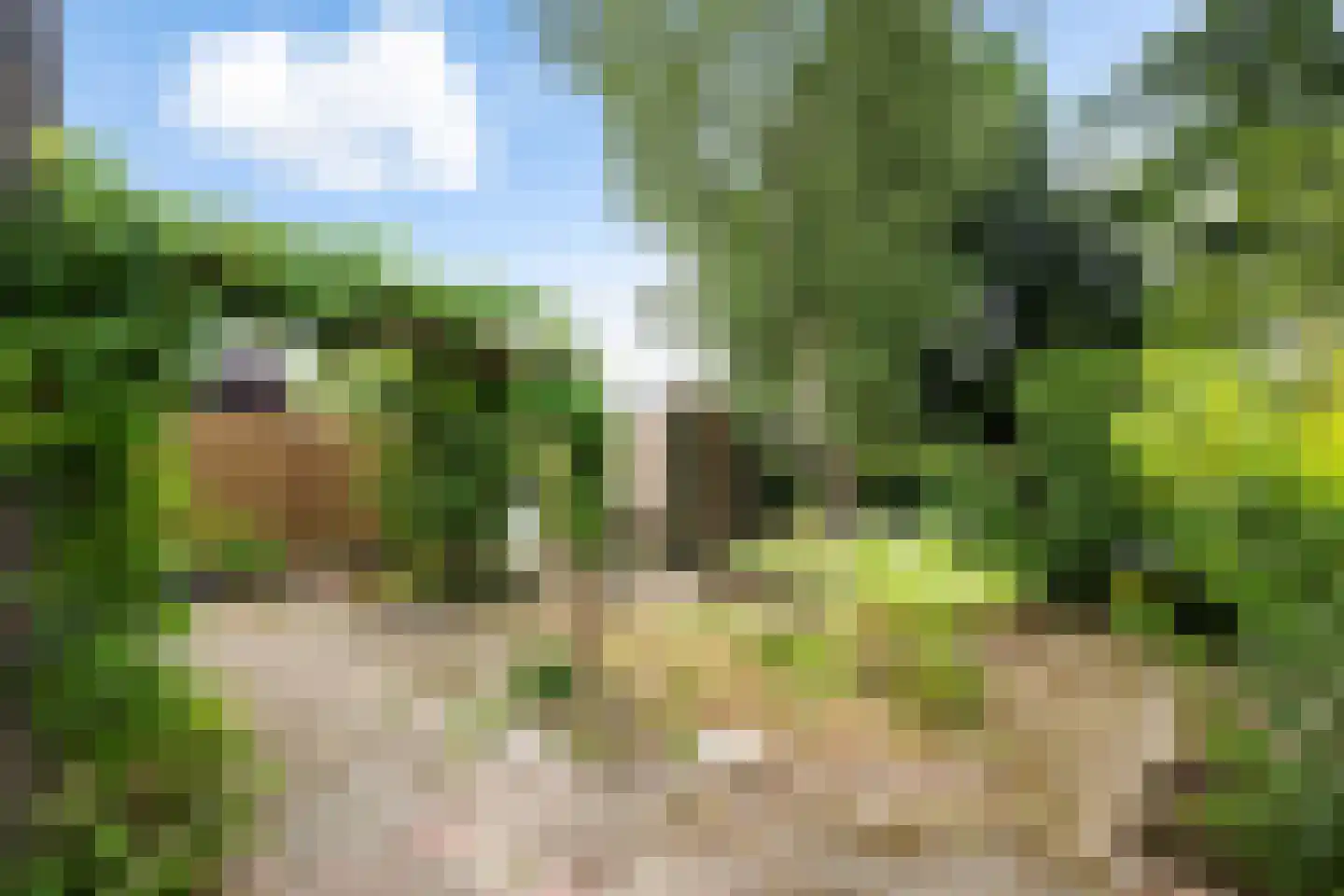 Vermeerlaan 21 Scherpenzeel thumbnail 38