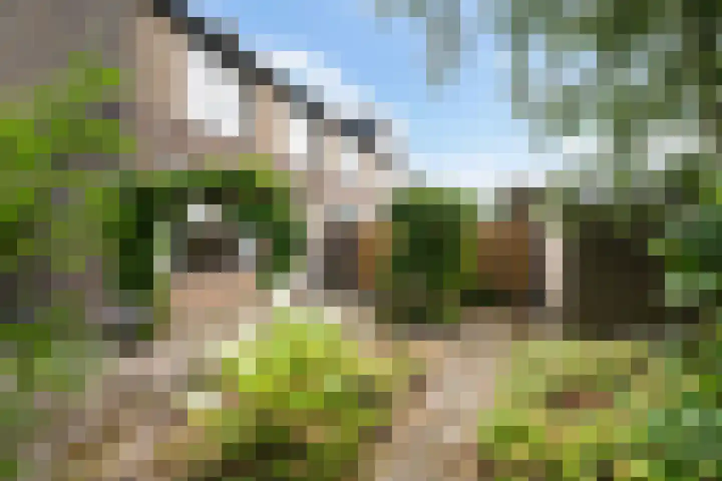 Vermeerlaan 21 Scherpenzeel thumbnail 39