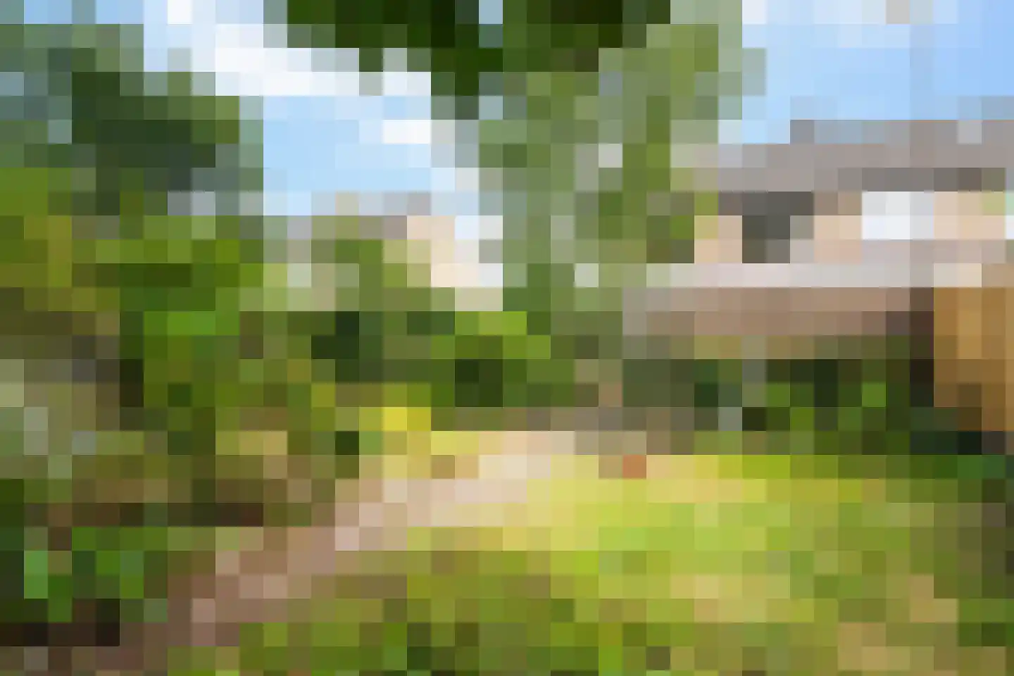 Vermeerlaan 21 Scherpenzeel thumbnail 40
