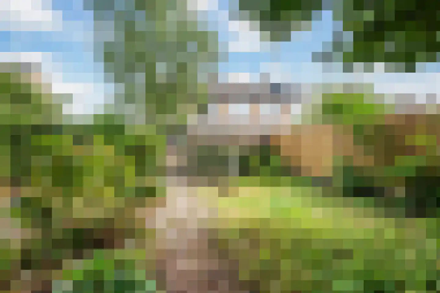 Vermeerlaan 21 Scherpenzeel thumbnail 41