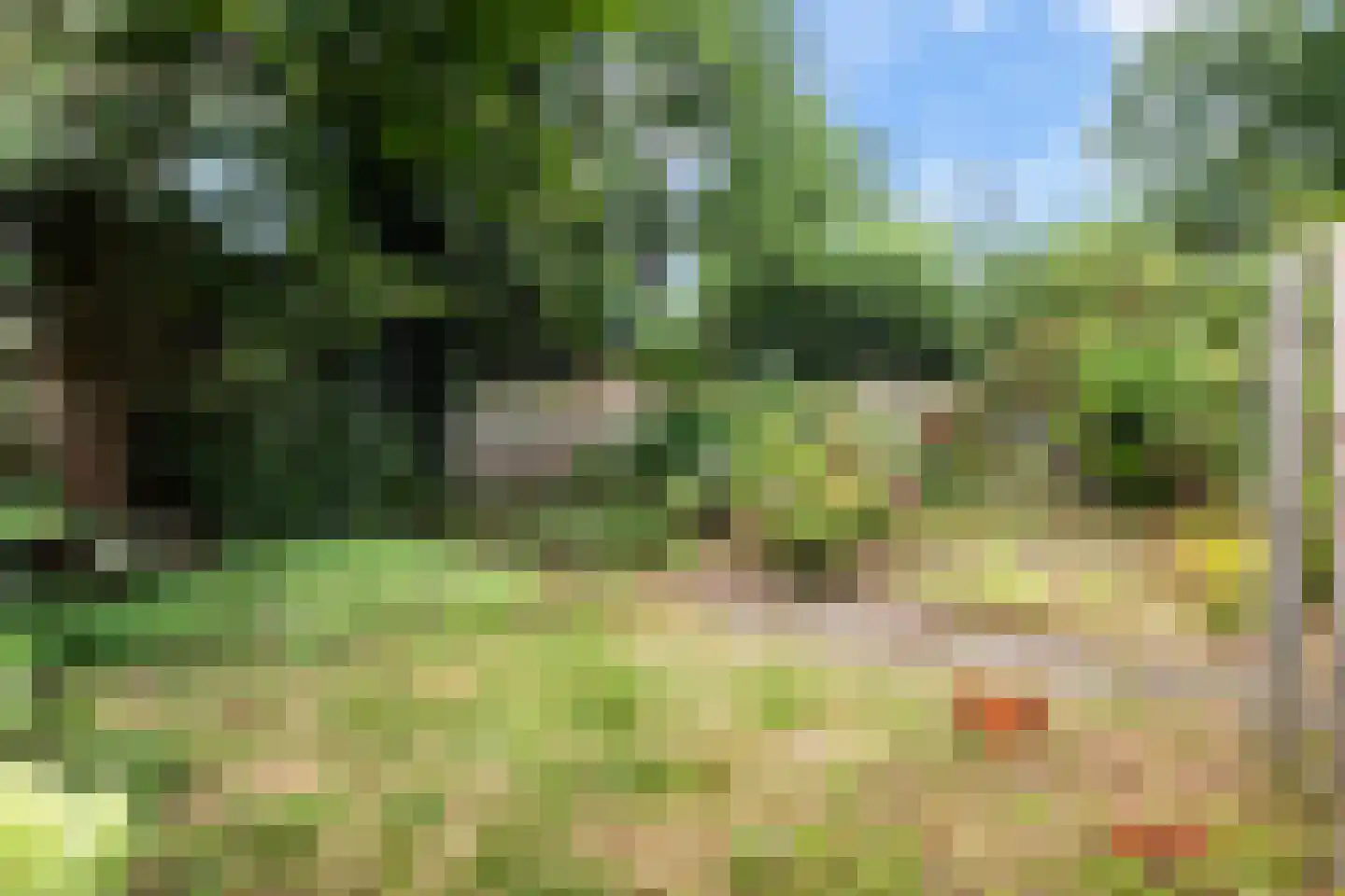 Vermeerlaan 21 Scherpenzeel thumbnail 42