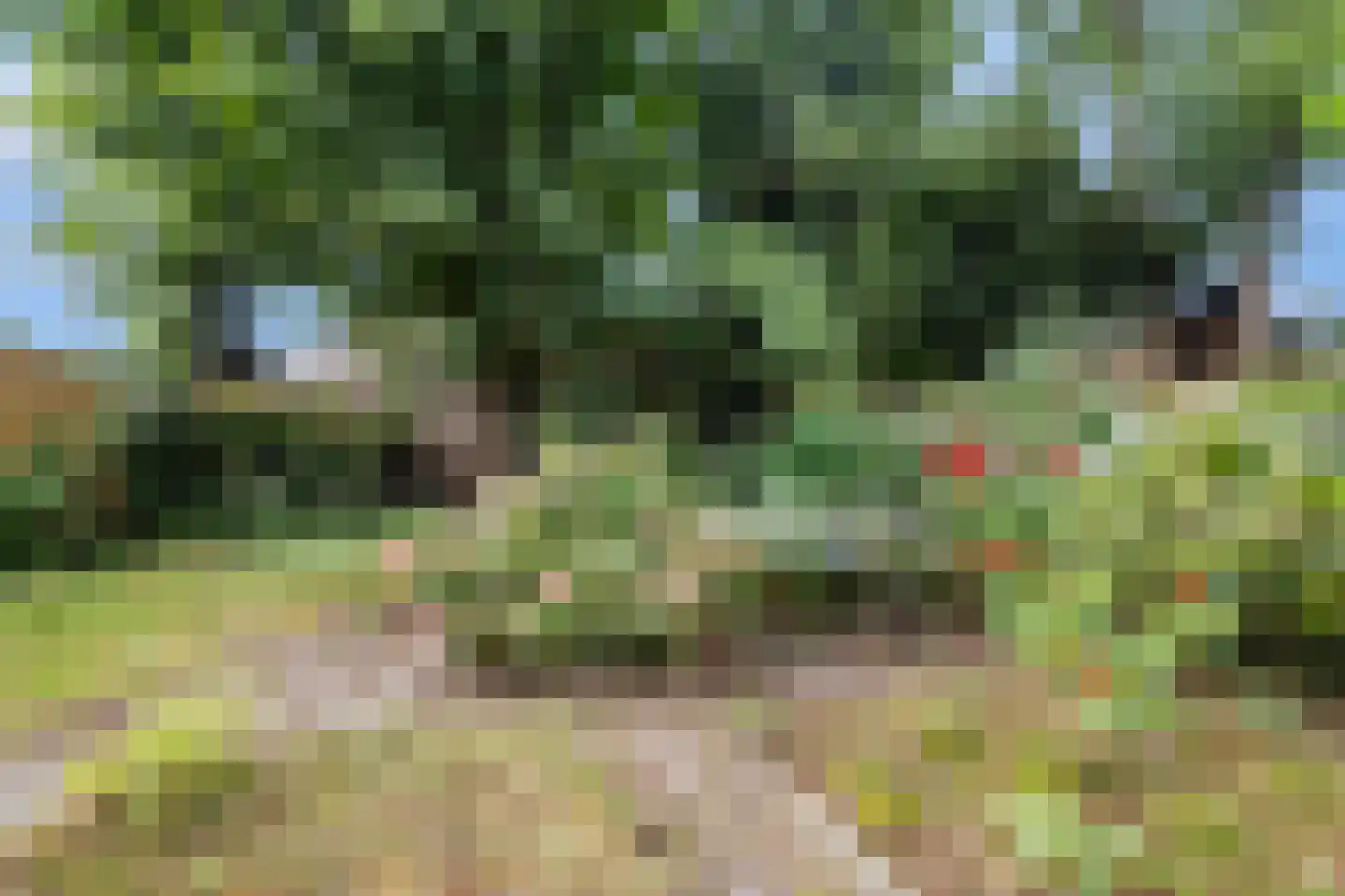 Vermeerlaan 21 Scherpenzeel thumbnail 43