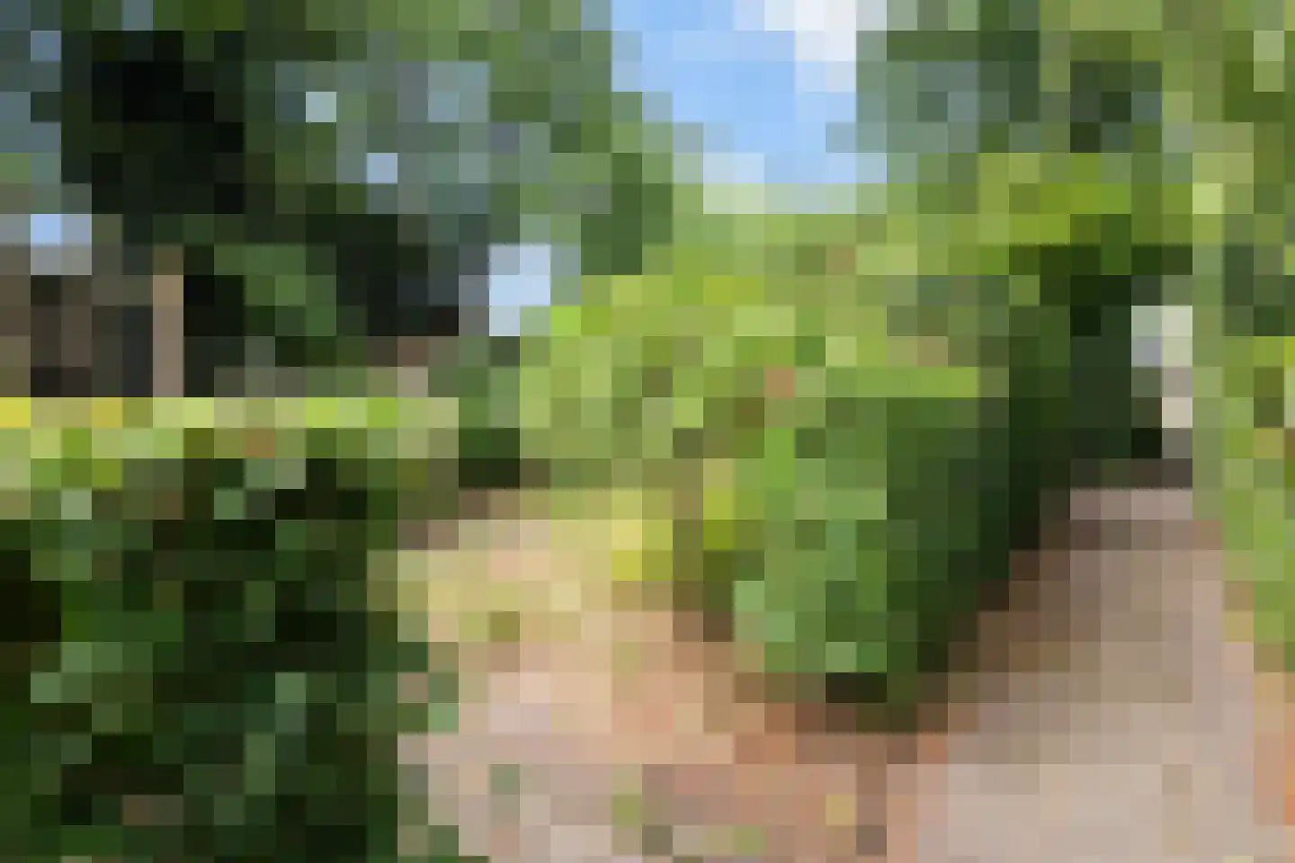 Vermeerlaan 21 Scherpenzeel thumbnail 44