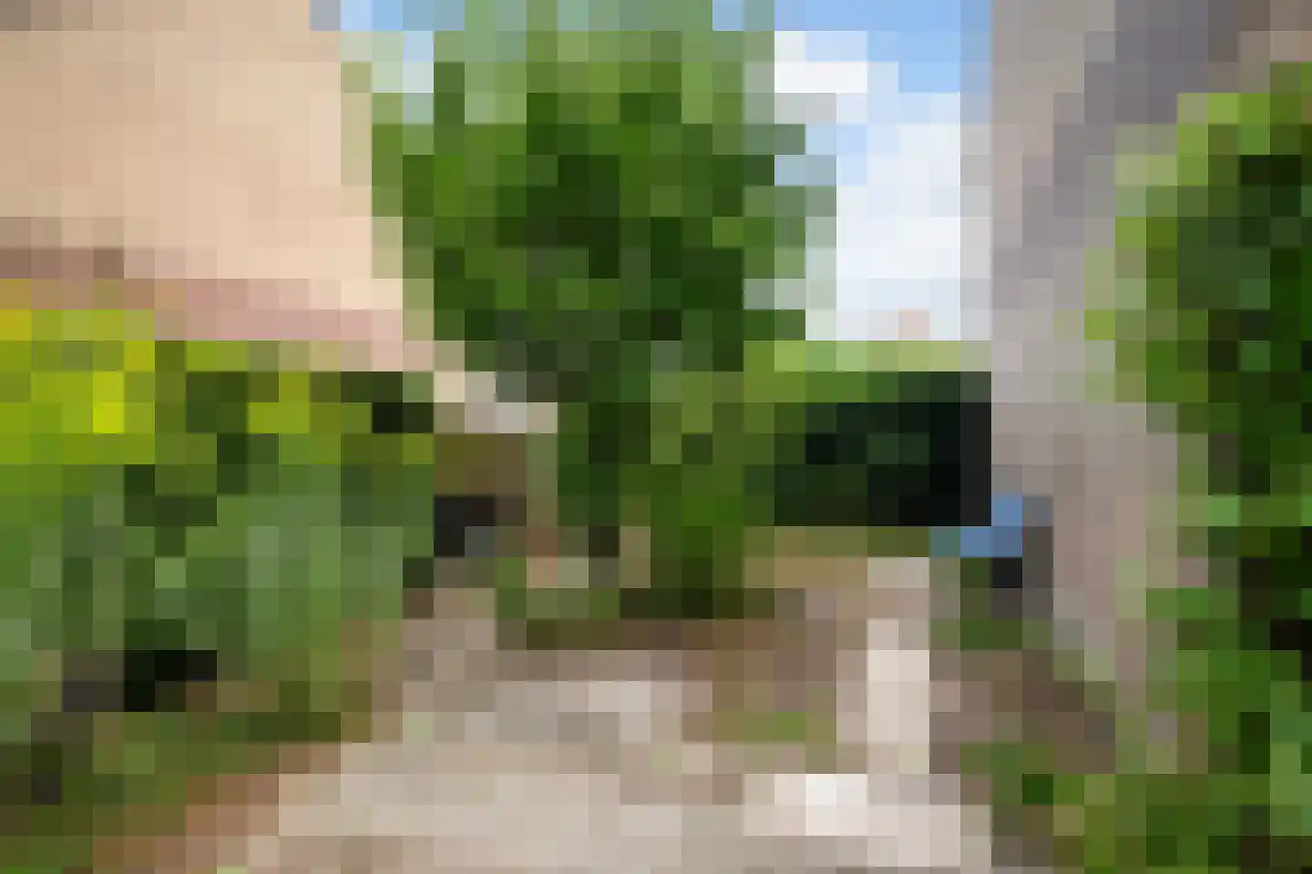 Vermeerlaan 21 Scherpenzeel thumbnail 45