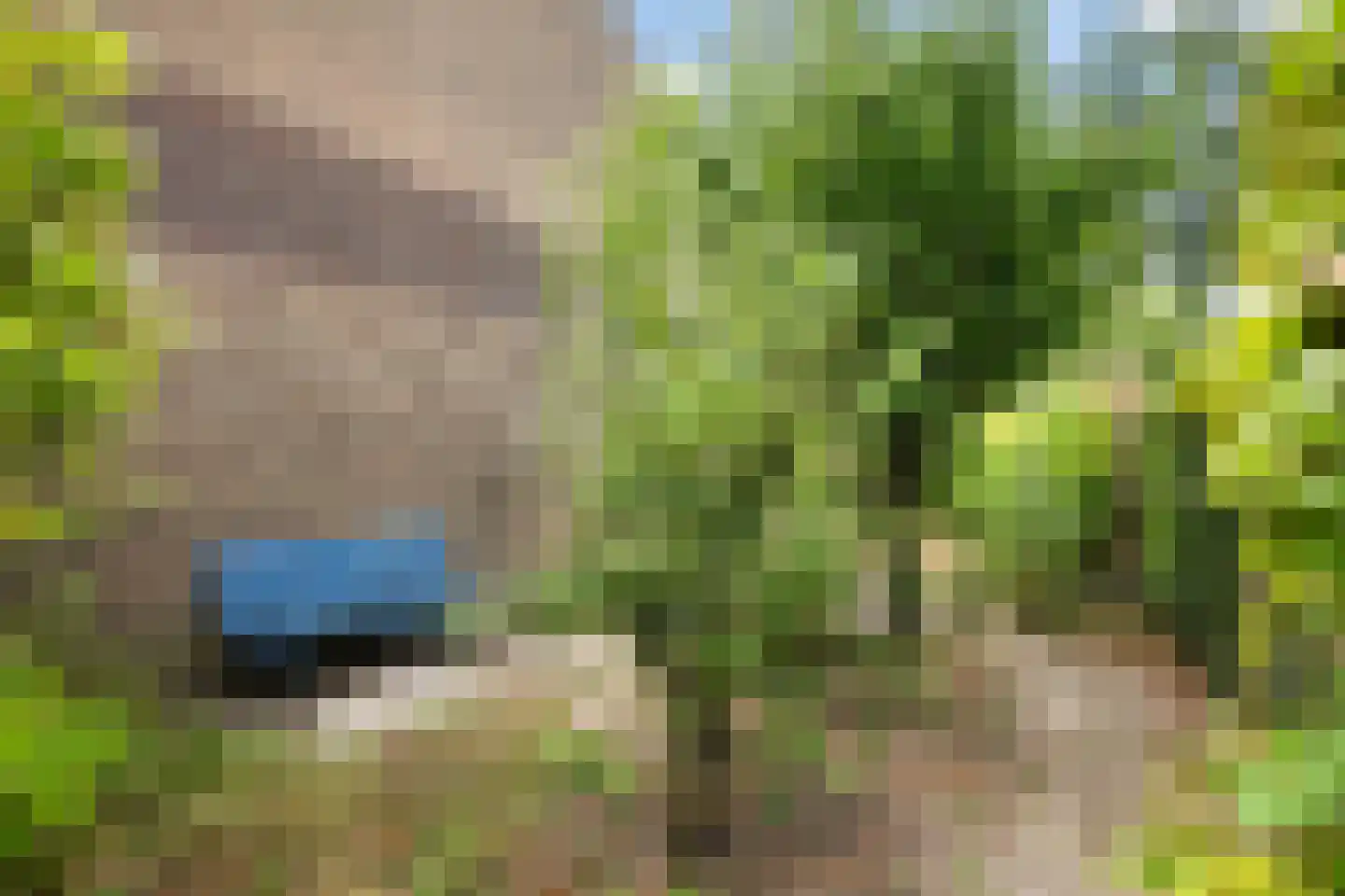 Vermeerlaan 21 Scherpenzeel thumbnail 46