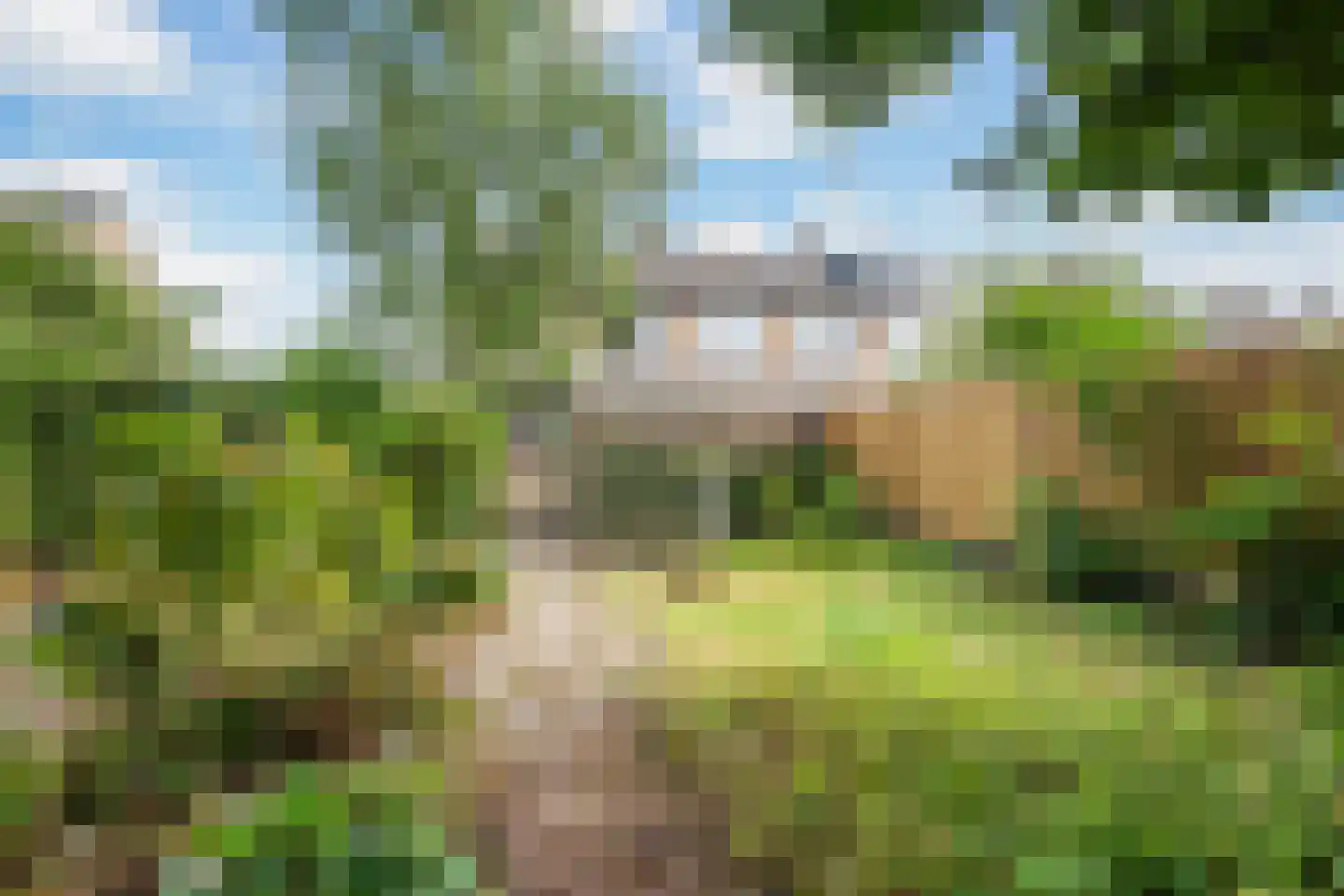 Vermeerlaan 21 Scherpenzeel thumbnail 5