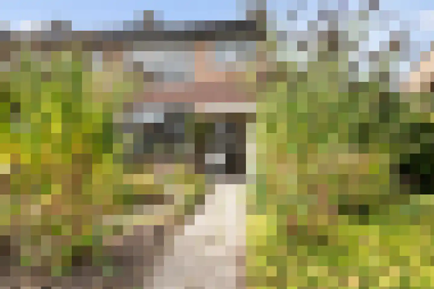 Vermeerlaan 21 Scherpenzeel thumbnail 7