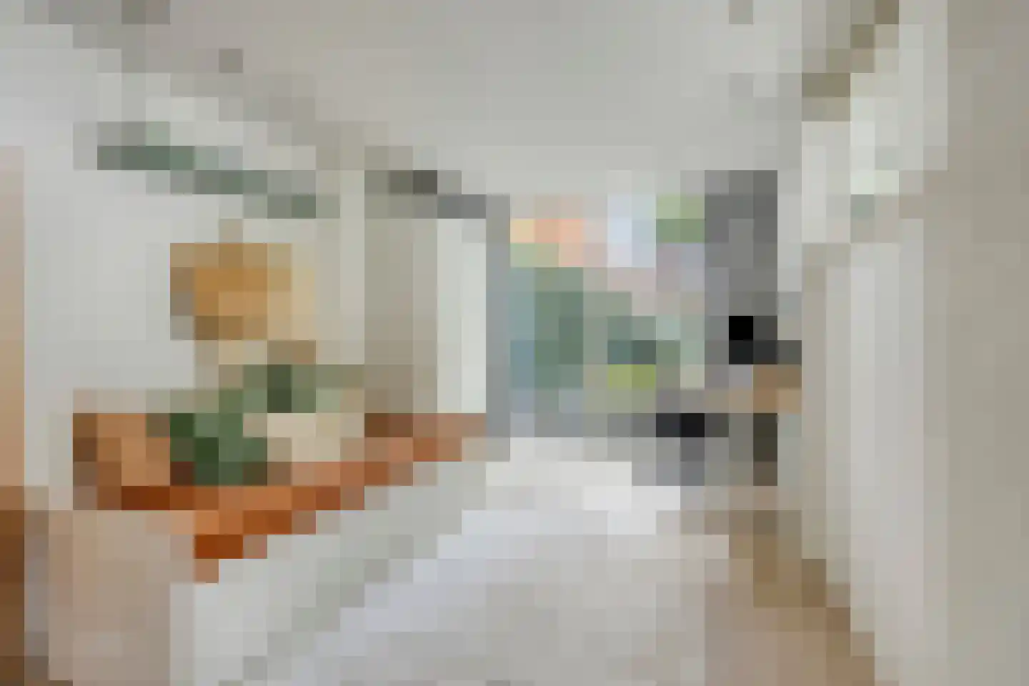 Vermeerlaan 23 Hilversum thumbnail 39