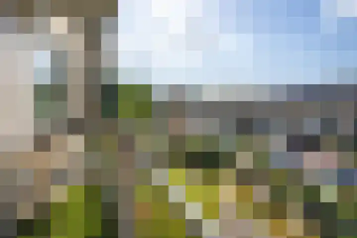 Vermeerlaan 23 Soest thumbnail 29