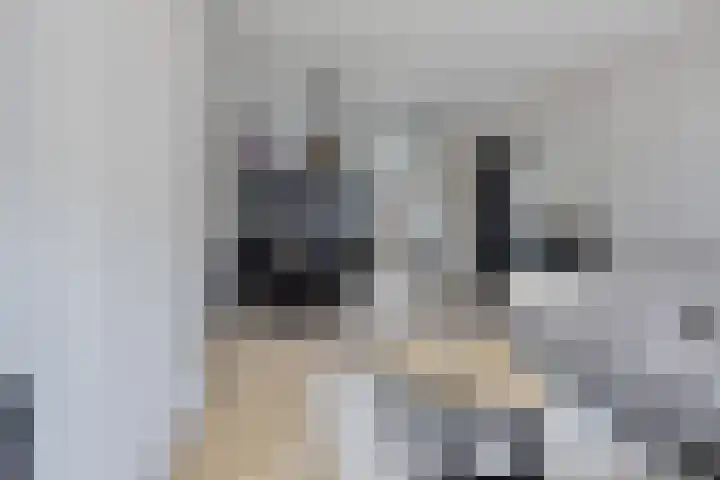 Vermeerlaan 23 Soest thumbnail 9