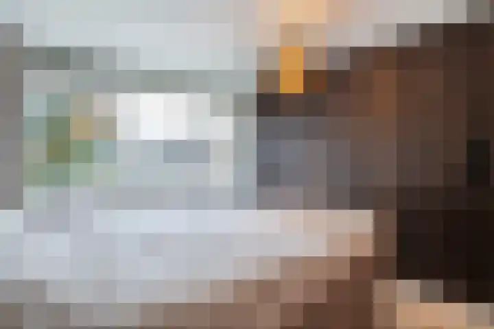 Vermeerlaan 27 Scherpenzeel thumbnail 21