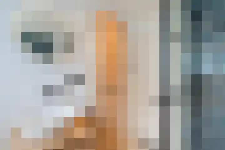 Vermeerlaan 27 Scherpenzeel thumbnail 25