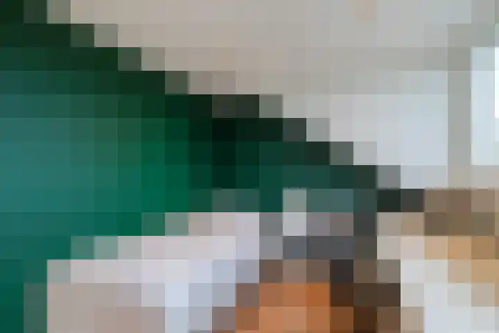 Vermeerlaan 27 Scherpenzeel thumbnail 32