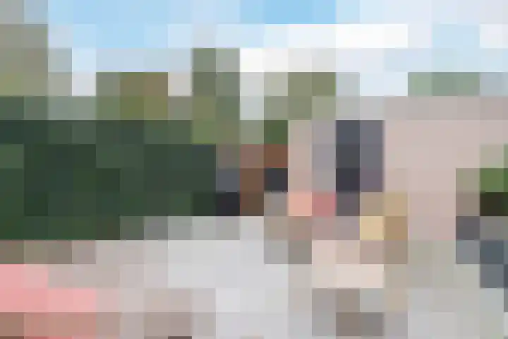 Vermeerlaan 27 Scherpenzeel thumbnail 37